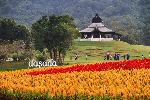 Dasada Gallery