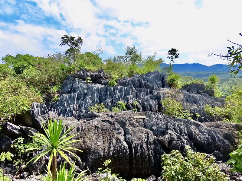 Coral Mountain