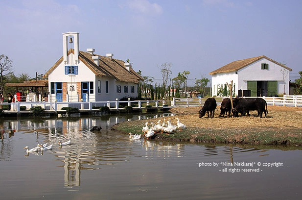 Murrah Farm Murrah Farm