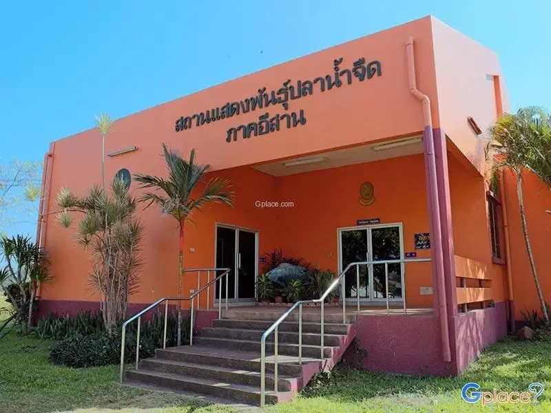 Isan Freshwater Fish Aquarium Isan Freshwater Fish Aquarium