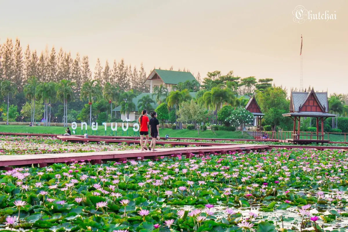 Bua Chaloem Phrakiat Park lotus lake and red wooden bridge in Sakon Nakhon