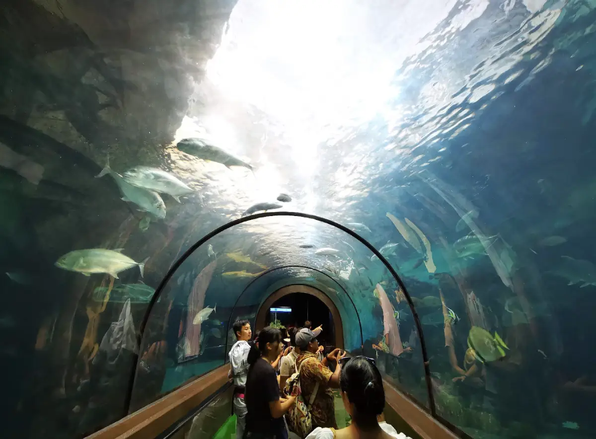 สถานแสดงพันธุ์สัตว์น้ำภูเก็ต หรือภูเก็ตอควาเรียม