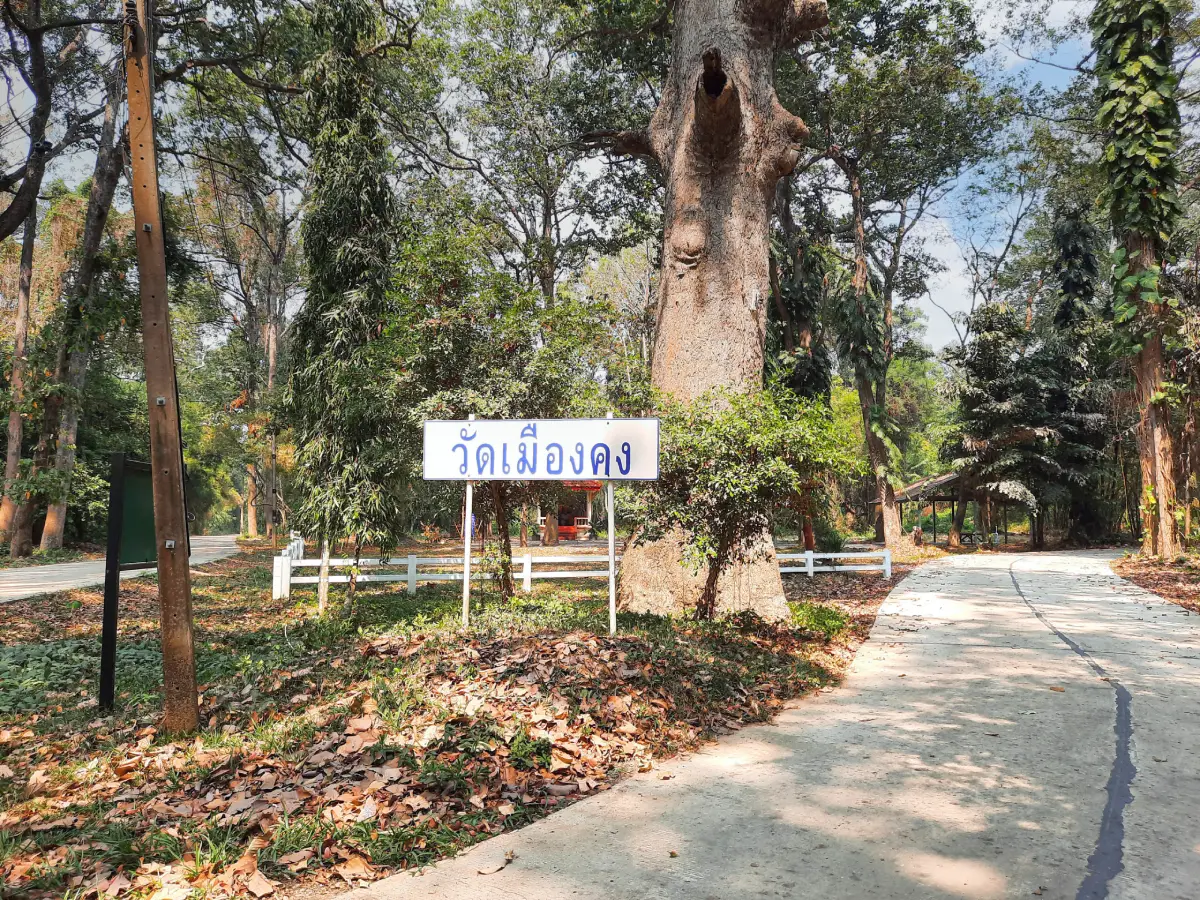 Wat Mueang Khong