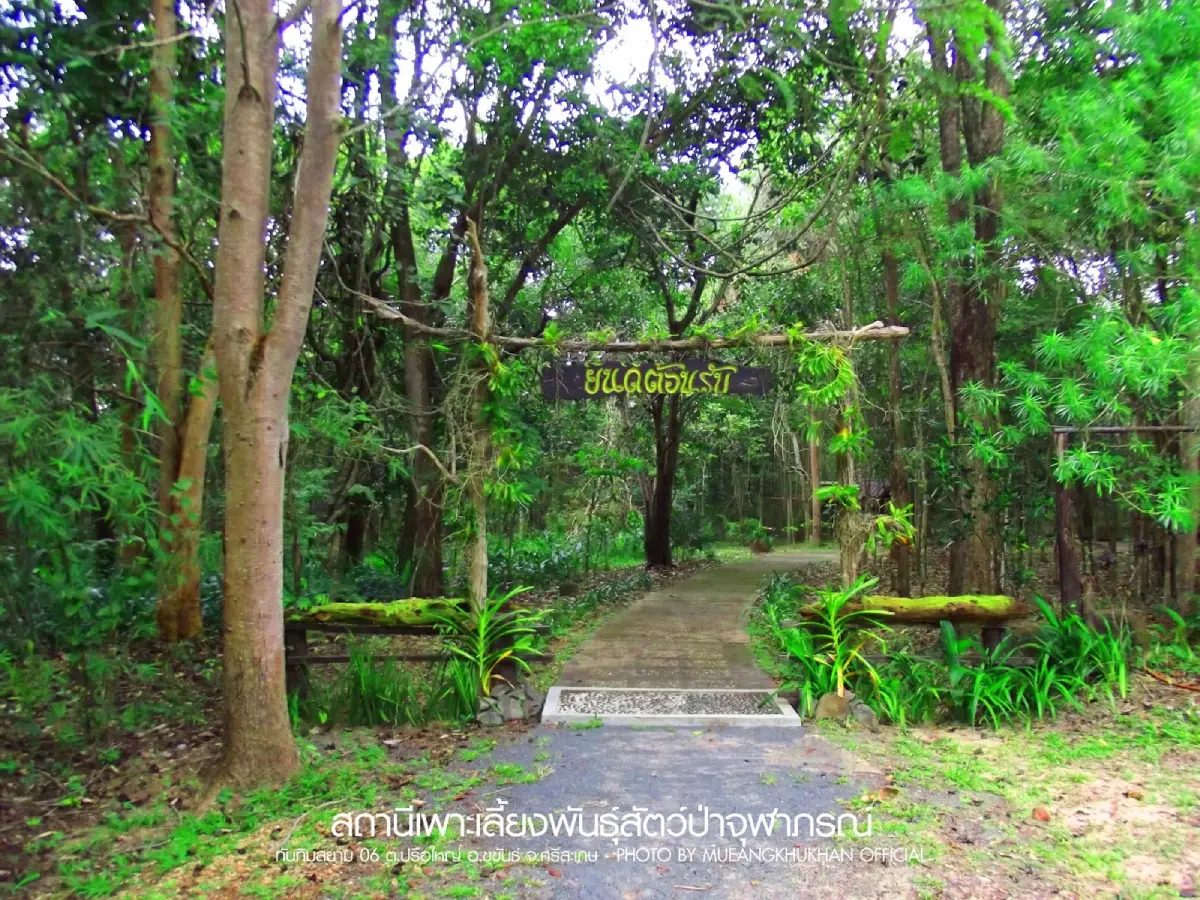 สถานีเพาะเลี้ยงสัตว์ป่าจุฬาภรณ์ สถานีเพาะเลี้ยงสัตว์ป่าจุฬาภรณ์