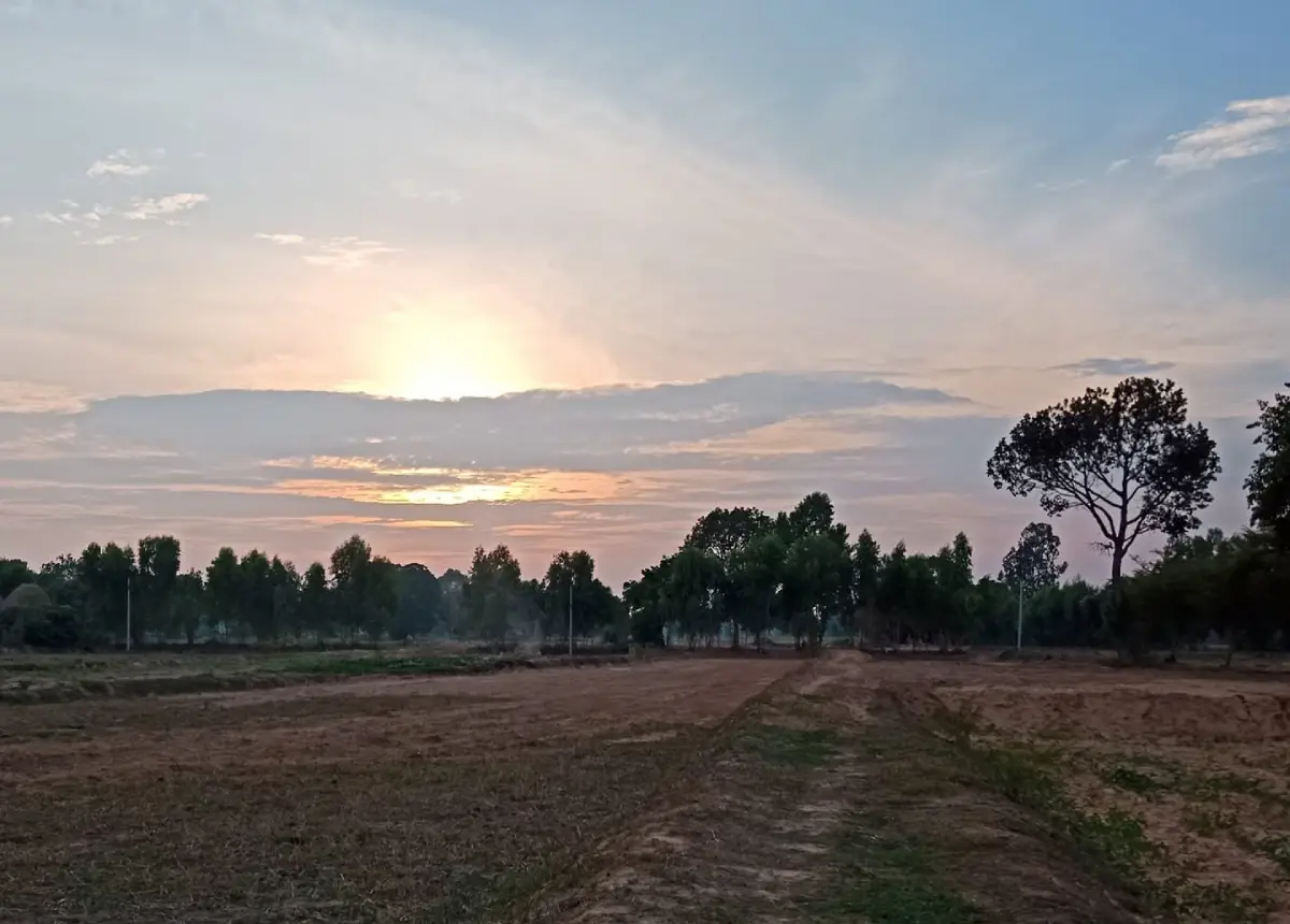 Nong Yai
