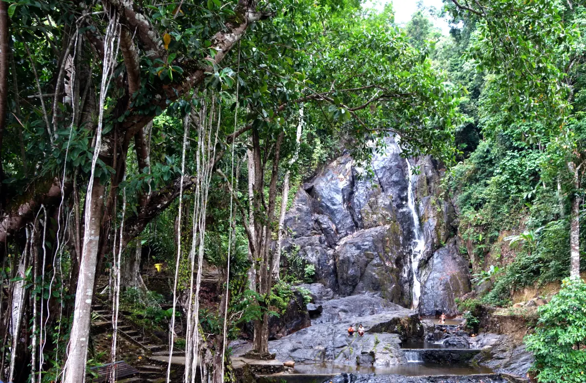 อุทยานแห่งชาติลำน้ำกระบุรี จังหวัดระนอง แม่น้ำกระบุรีและป่าชายเลนชายแดนไทยเมียนมา