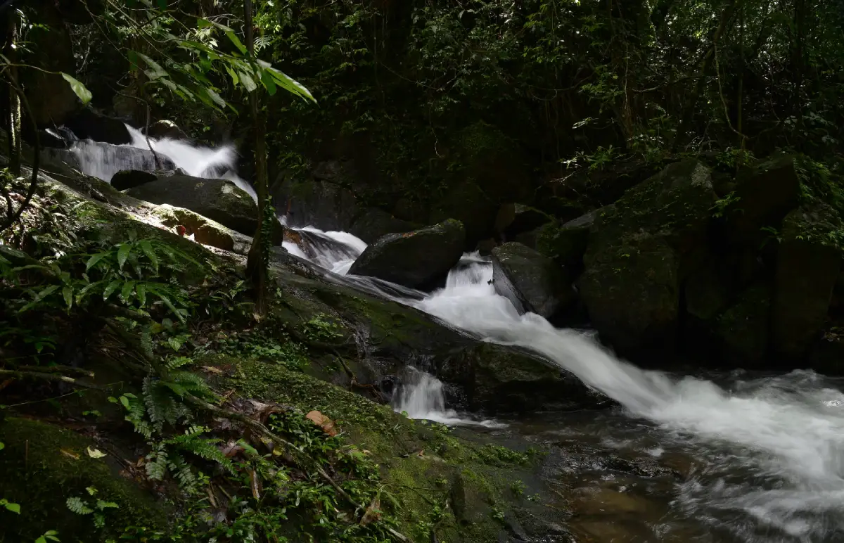 Ton Phet Waterfall Ton Phet Waterfall