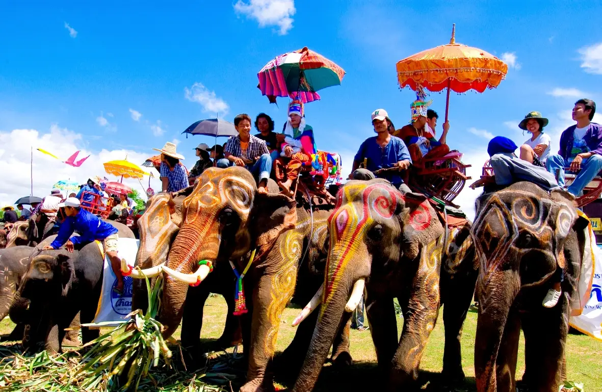Surin Elephant Village Surin Elephant Village