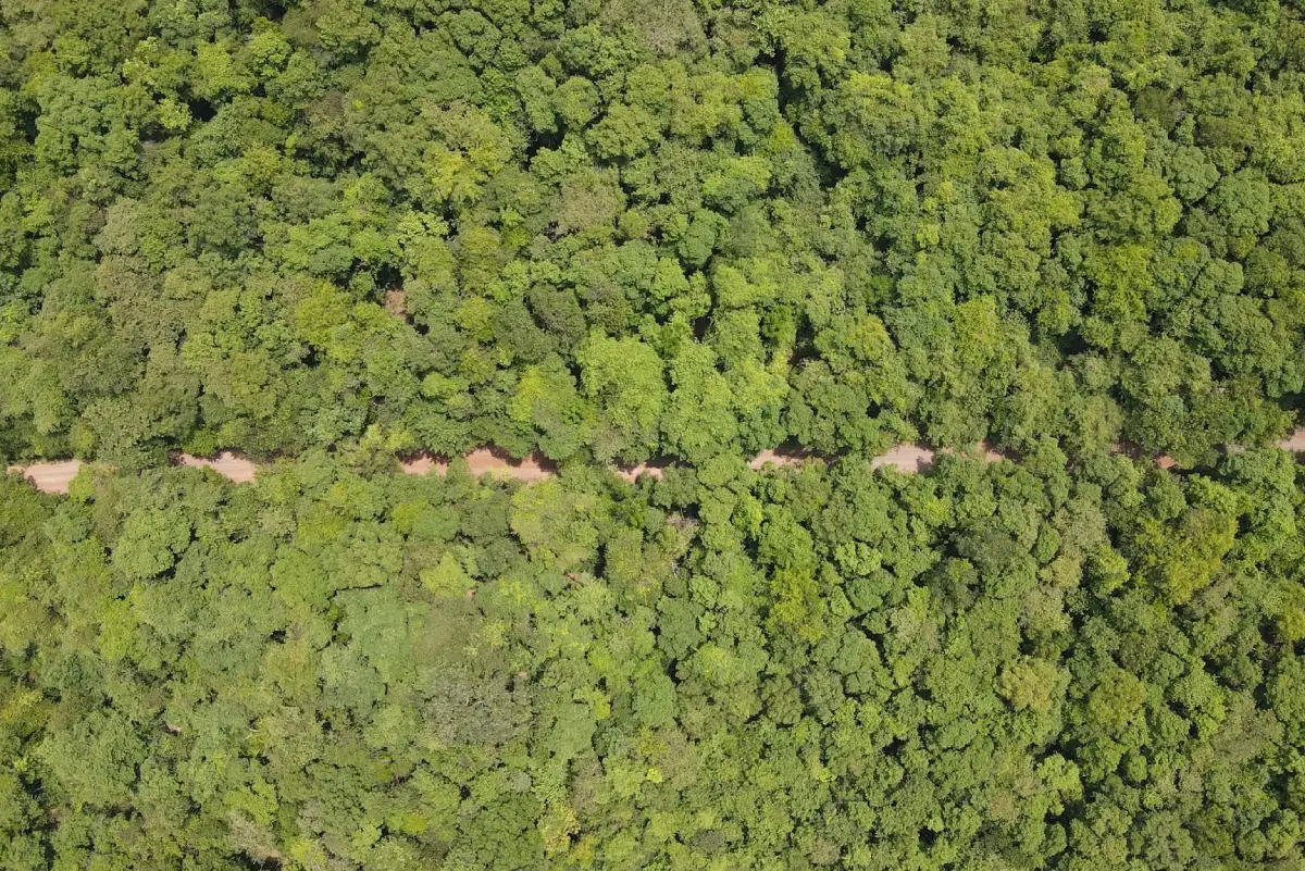 Ban Khaen Noi Community Forest