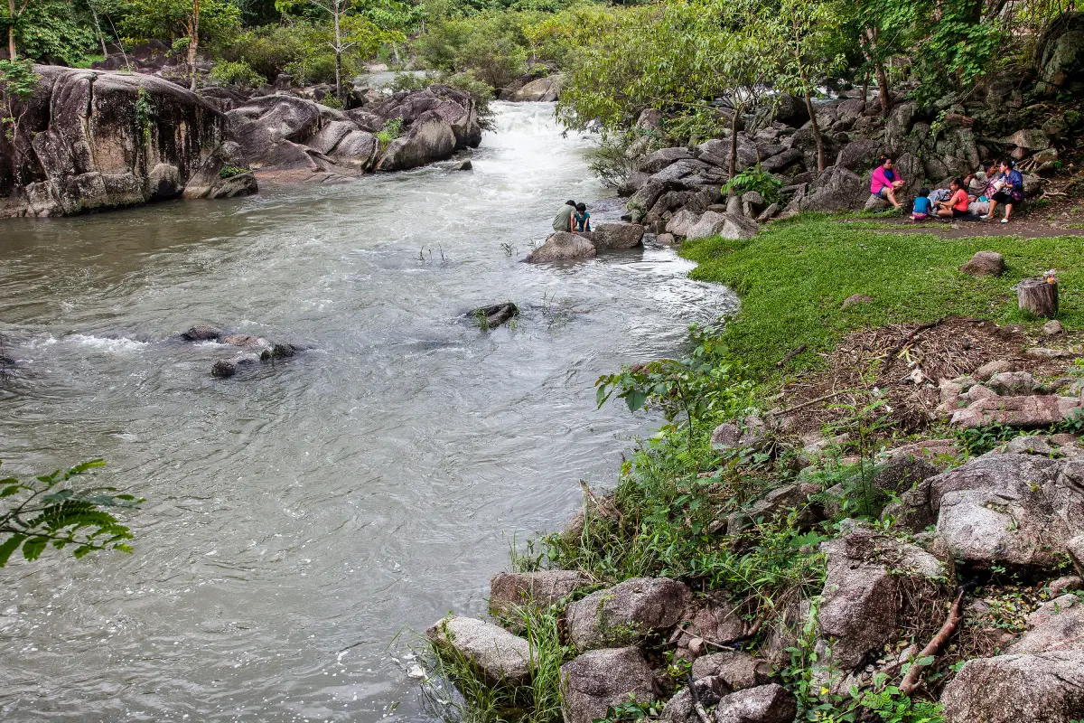 Sirikit Forest Park