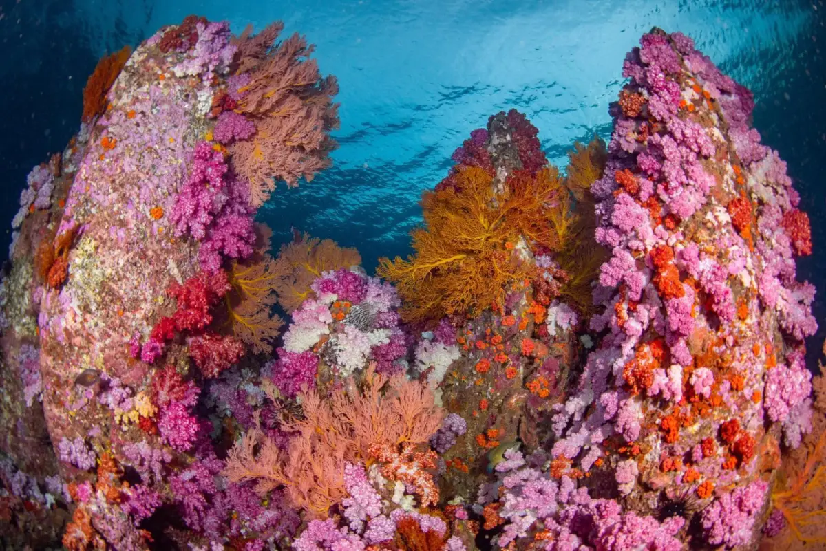 20 Best Places to Visit in Satun Popular Attractions 20 Best Places to Visit in Satun Popular Attractions