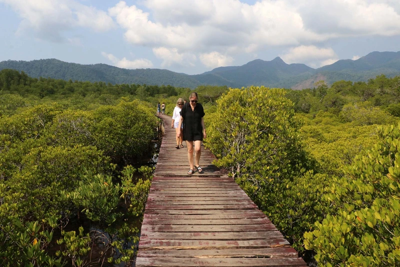 Trat Mangrove Study Center Trat Mangrove Study Center