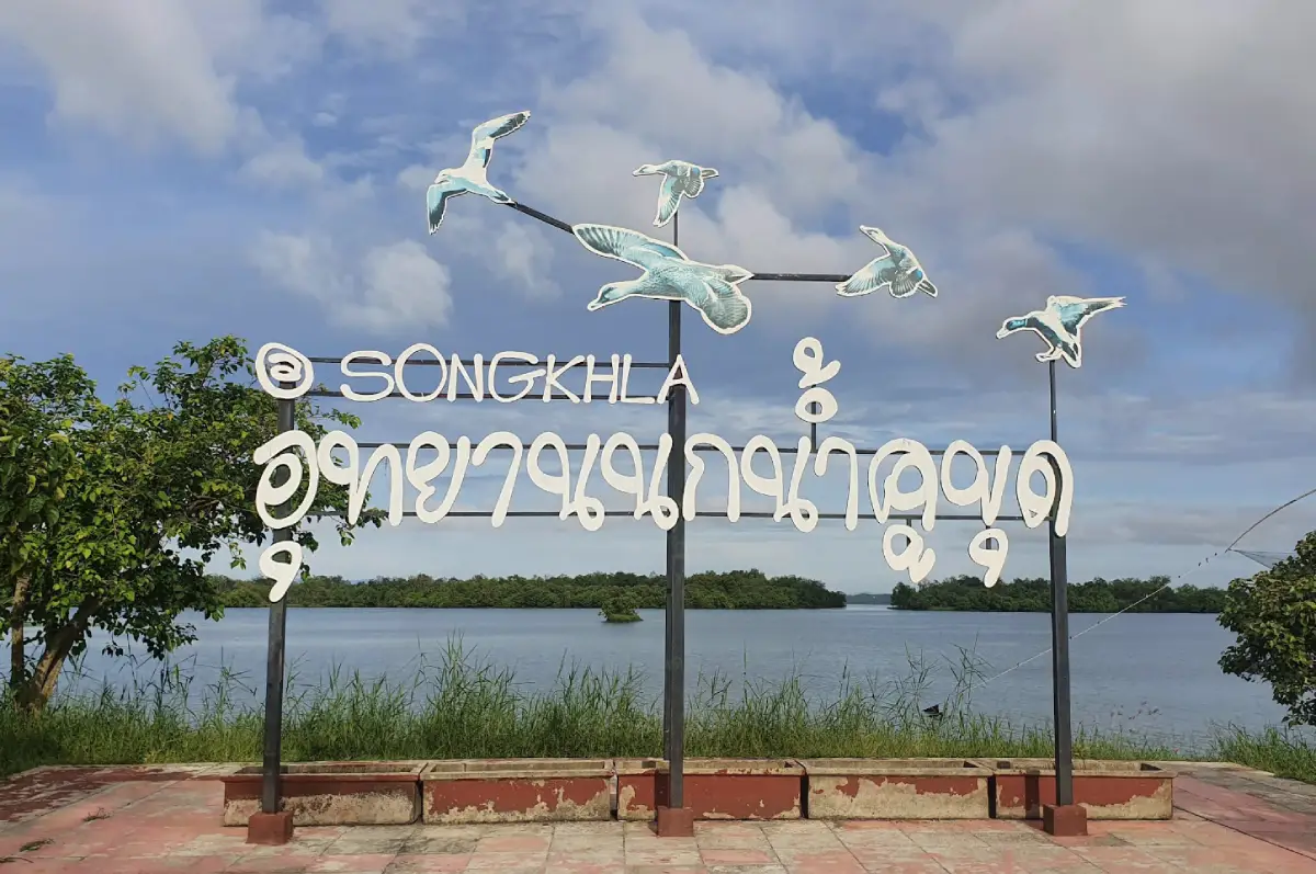 Khu Khut Waterfowl Park Songkhla Lake Non-Hunting Area