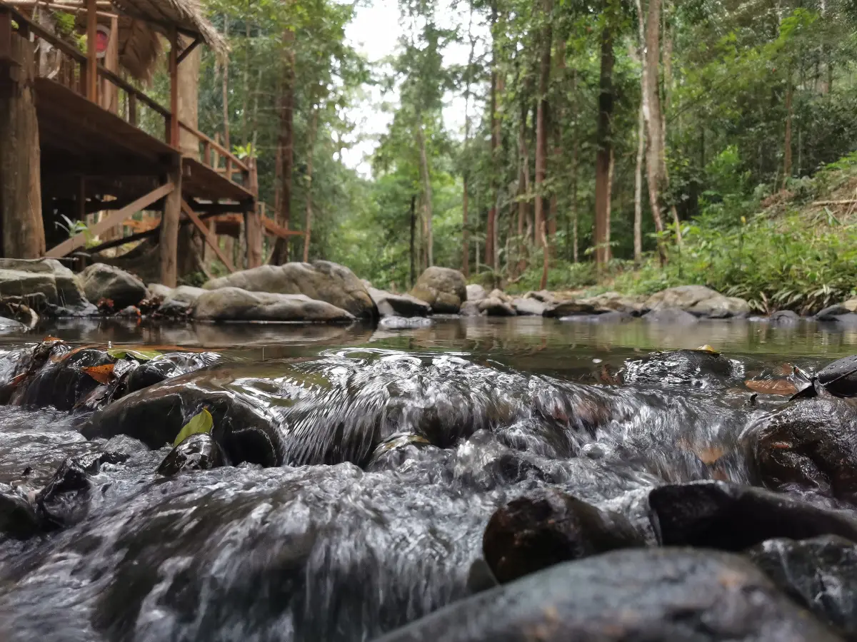 อุทยานแห่งชาติเขาน้ำค้าง จังหวัดสงขลา ป่าภูเขาและถ้ำประวัติศาสตร์