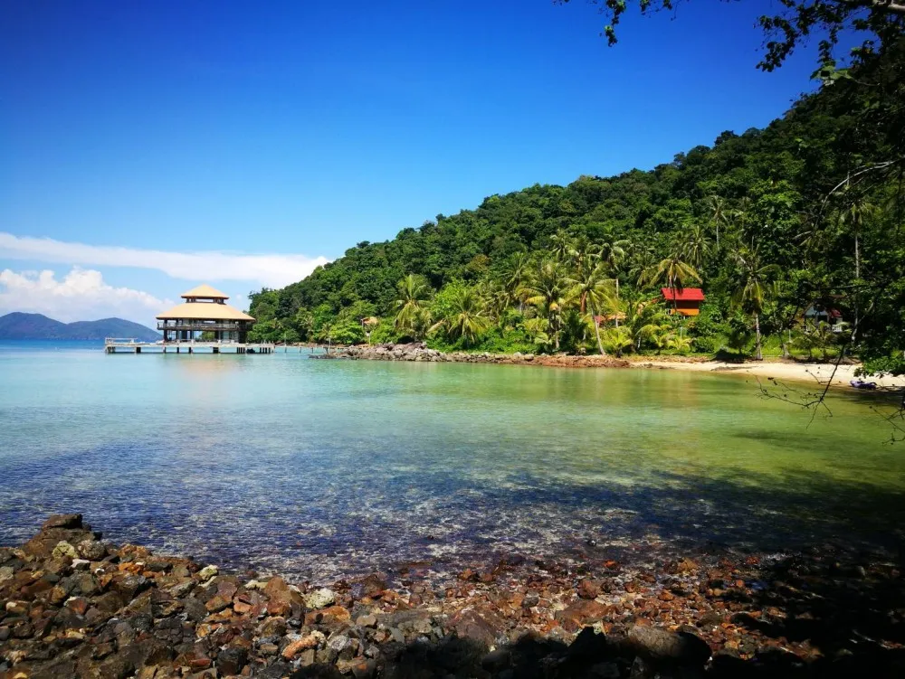 Koh Wai Koh Wai
