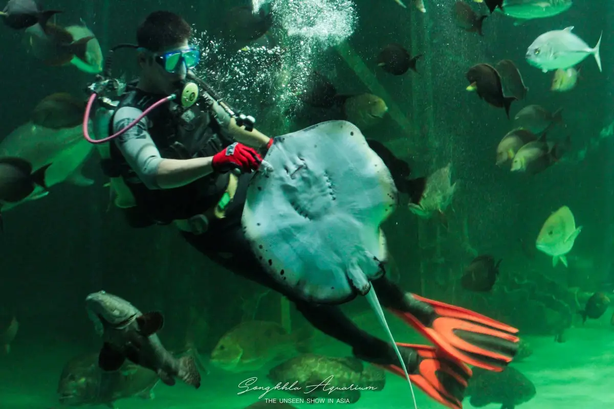 Songkhla Aquatic Animal Exhibition Center Songkhla Aquarium