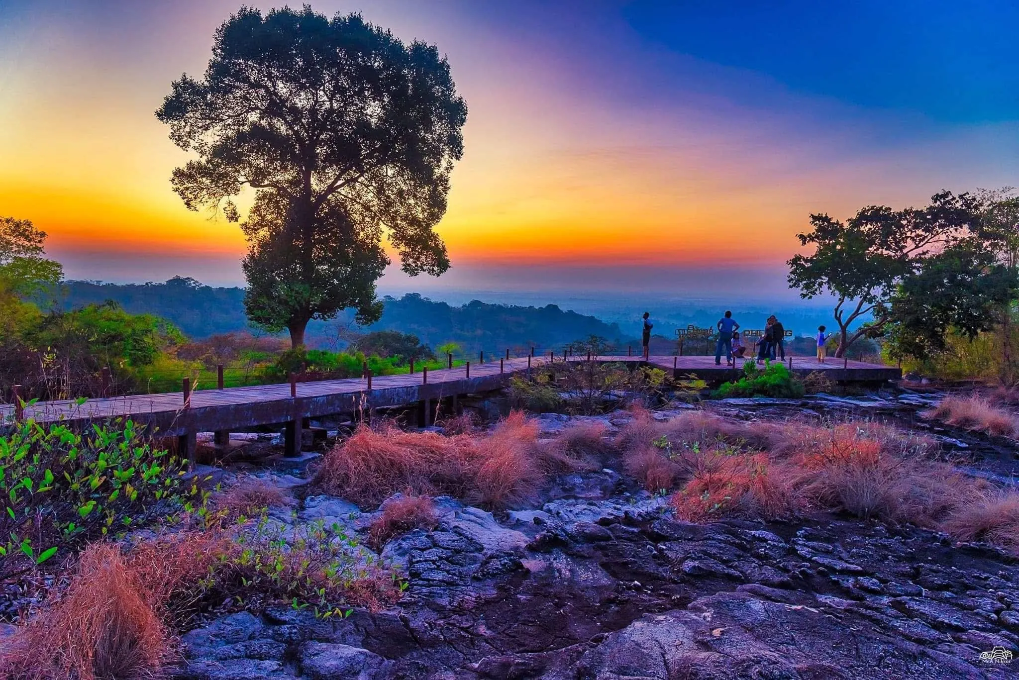 วนอุทยานภูสิงห์-ภูผาผึ้ง