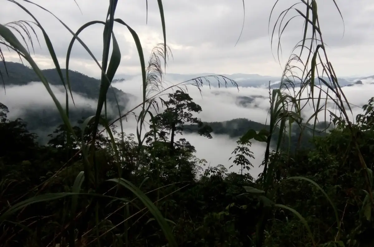 Khao Pok Yo Khao Pok Yo