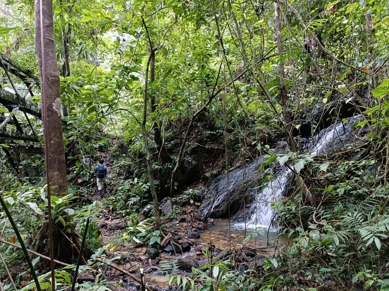 Toh Mo Waterfall