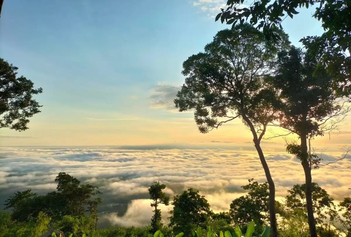 อุทยานแห่งชาติภูเวียง