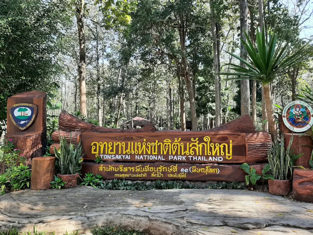 อุทยานแห่งชาติต้นสักใหญ่ จังหวัดอุตรดิตถ์ ต้นสักมเหสักข์และผืนป่าธรรมชาติ