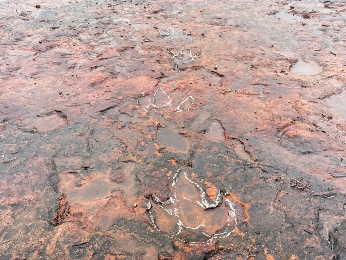 Phu Hin Thaen Dinosaur Site