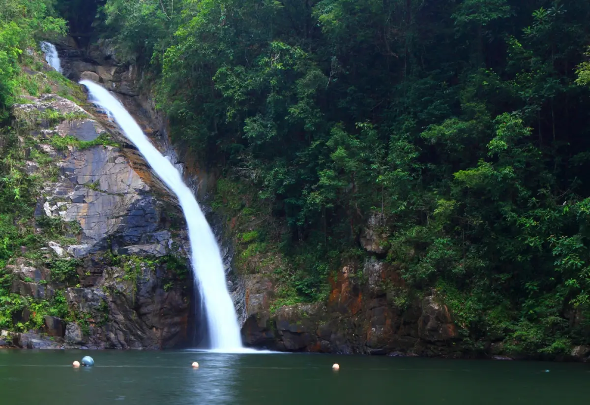 อุทยานแห่งชาติน้ำตกโยง จังหวัดนครศรีธรรมราช น้ำตกกลางป่าฝน