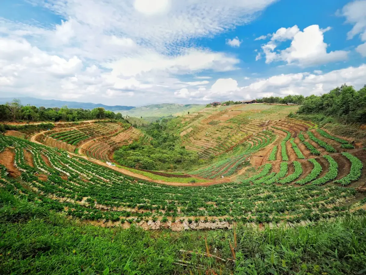Ler Tor Royal Project Development Center, Tak, Thailand &ndash; The Foundation's 39th center; established in 2016; livelihoods replacing opium; highland vegetables and fruits; Arabica coffee; agroforestry; Pga K'nyau communities; and conservation