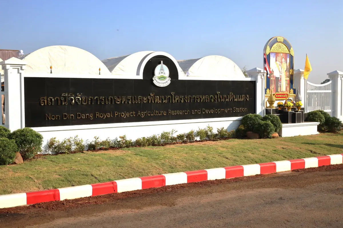 Non Din Daeng Royal Project Agricultural Research and Development Station, Buriram, Thailand &ndash; The Foundation's 40th station; expansion to the northeastern plateau; the Lahan Sai development history; Royal Food Processing Factory No. 4; agricultural research greenhouses; economic crops; and water management