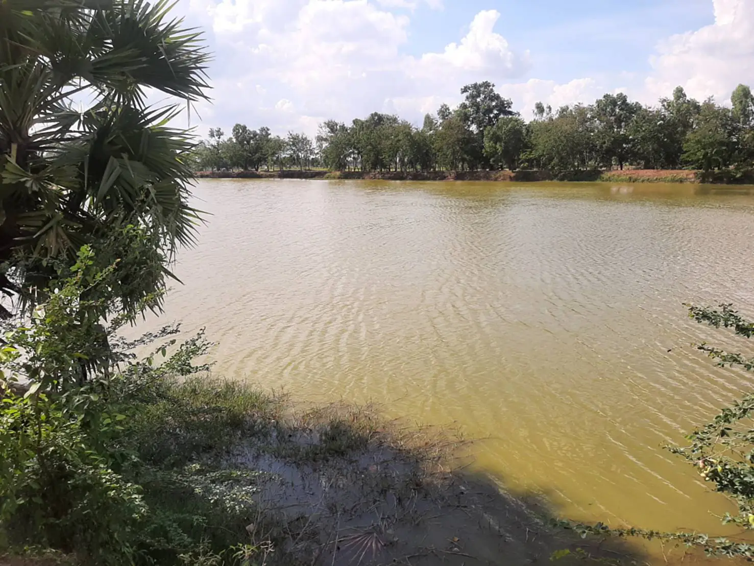 Nong Nam Aun
