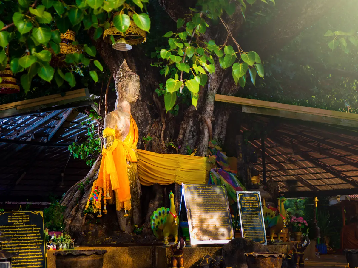 Wat Phuttha Mongkhon