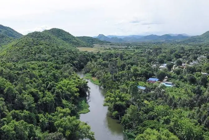 Dong Yai Community Forest