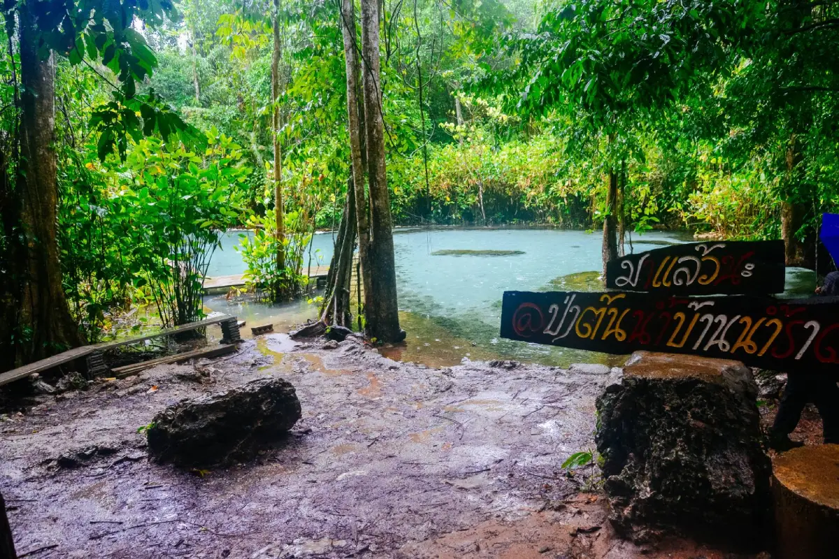 Khanthuli Swamp Forest Nature Study Center Khanthuli Swamp Forest Nature Study Center