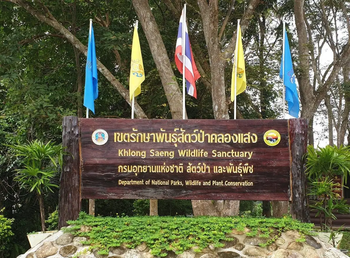 Khlong Saeng Wildlife Sanctuary Surat Thani