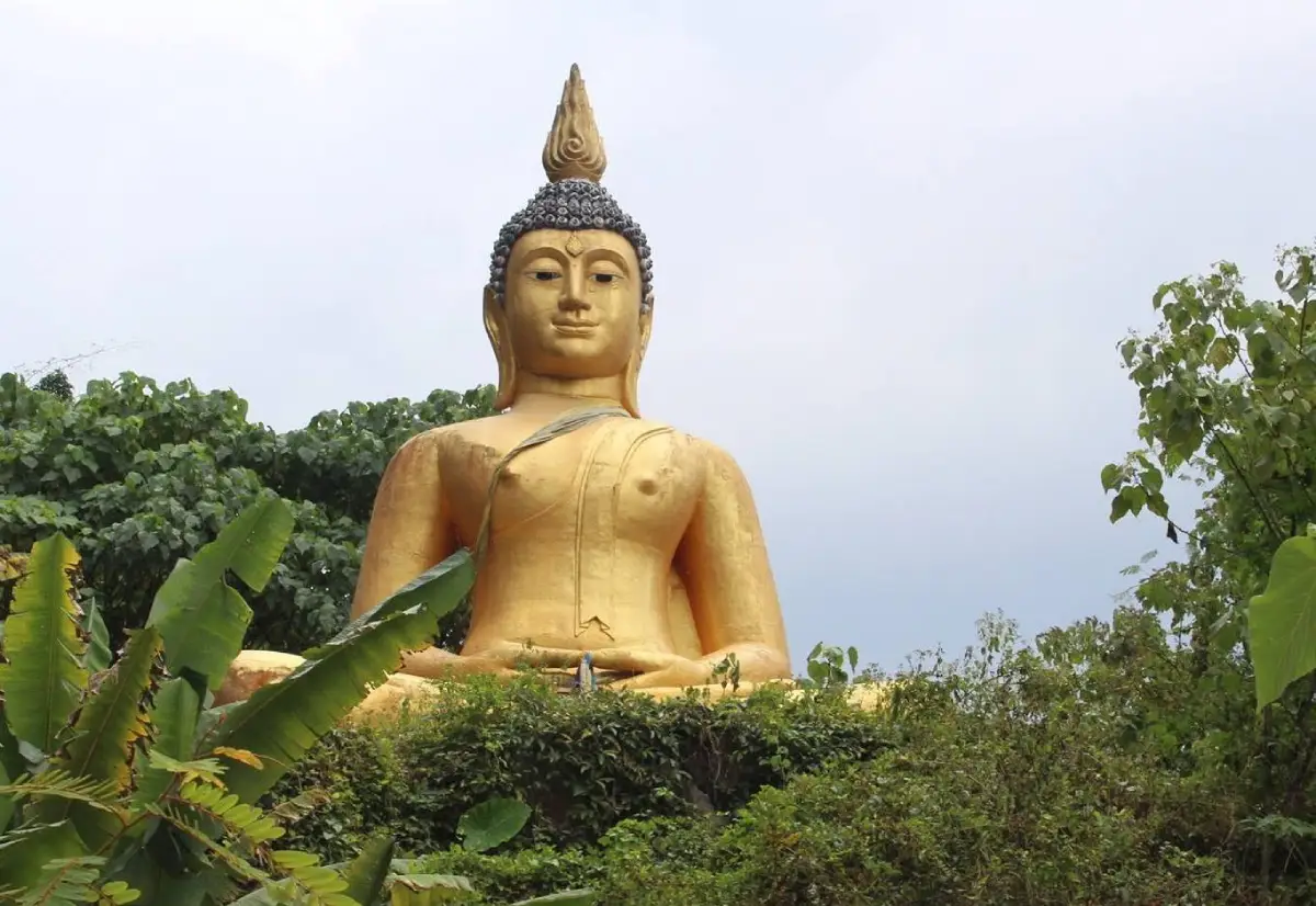 Khao Niphan Surat Thani