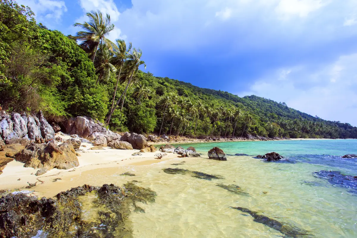 Taling Ngam Beach Koh Samui Surat Thani
