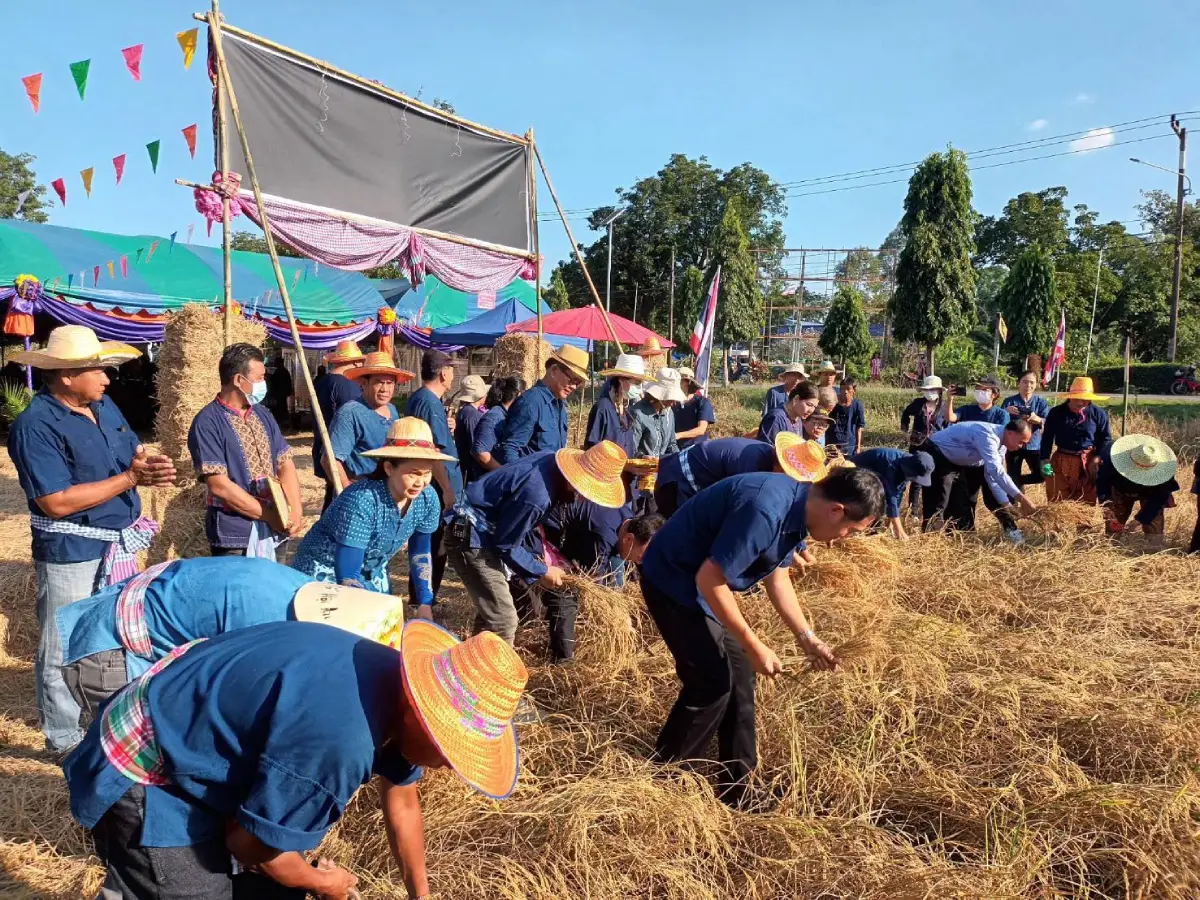 Communal Rice-Transplanting Tradition Communal Rice-Transplanting Tradition