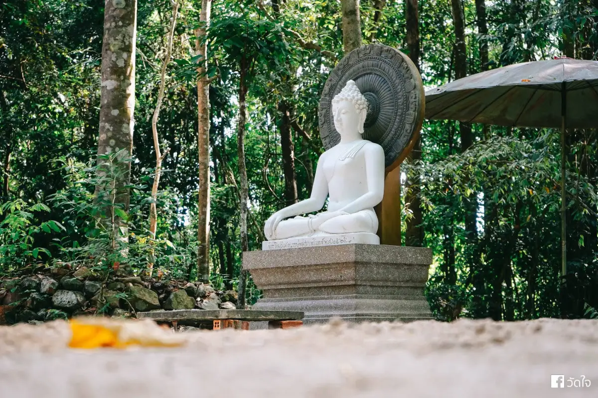 Khao Phutthong Arboretum Surat Thani