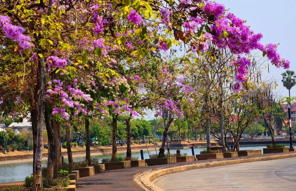 Khlong Khu Mueang