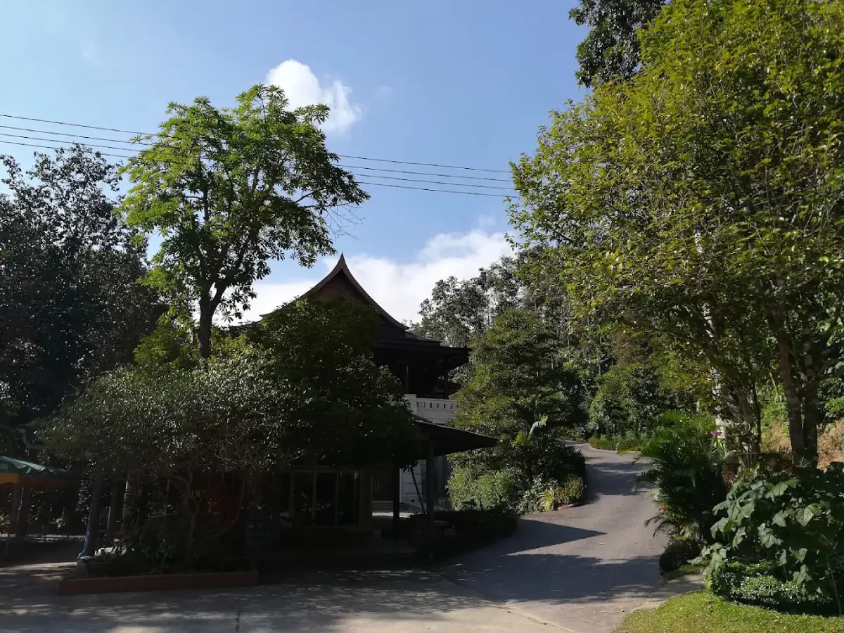 วัดพระเจ้าตนหลวง (สันป่ายาง) วัดพระเจ้าตนหลวง (สันป่ายาง)
