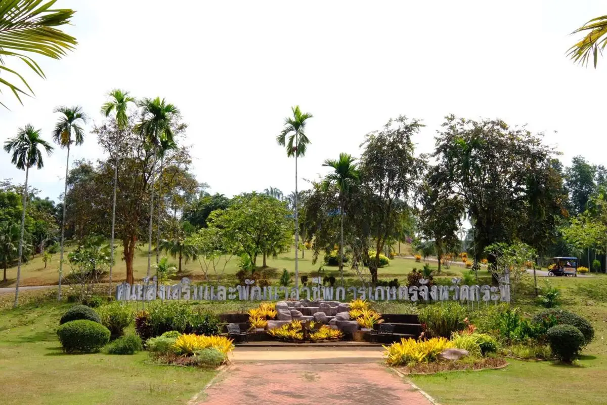 Krabi Agricultural Occupation Promotion and Development Center (Horticulture) Krabi Agricultural Occupation Promotion and Development Center (Horticulture)