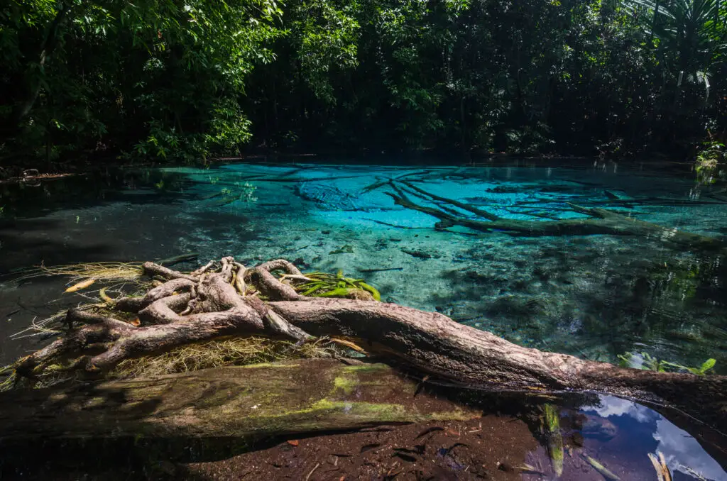 Khao Pra Bang Khram Wildlife Sanctuary Krabi