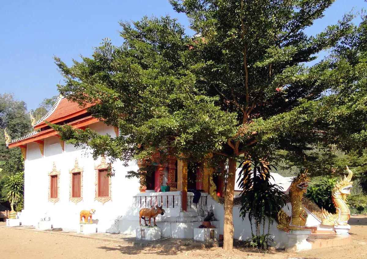 Wat Kong Khak Luang Wat Kong Khak Luang