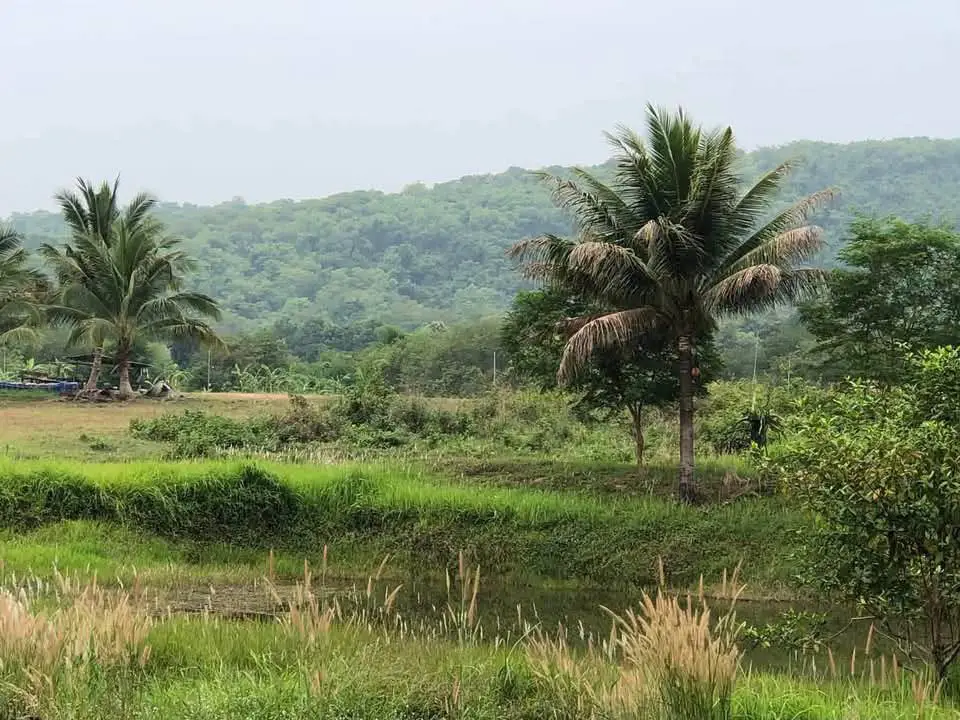 Suan Pu Ya Na Yu Project (Ban Suanhom)