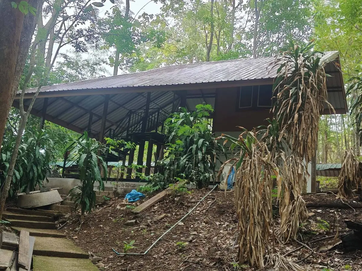 บ้านปางมะนาว จังหวัดกำแพงเพชร ชุมชนบนพื้นที่สูงและวิถีชีวิตชาวลาหู่