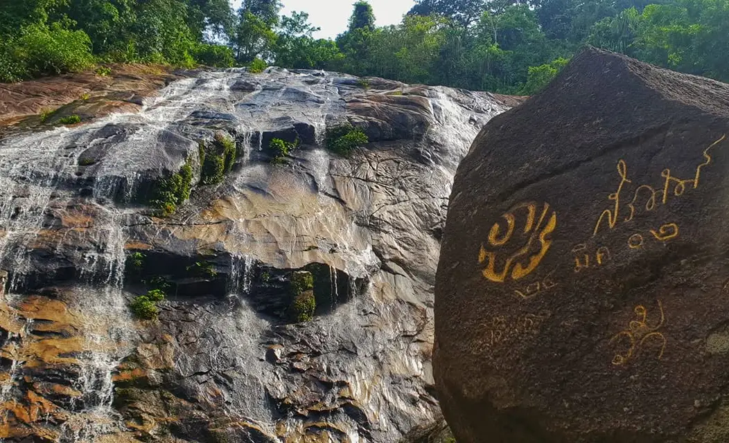 อุทยานแห่งชาติเทือกเขาบูโดสุไหงปาดี จังหวัดนราธิวาส ป่าฝนและน้ำตกปาโจ