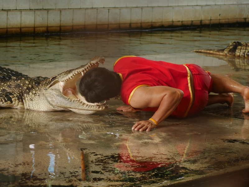 Samphran Elephant Ground and Zoo (Crocodile Farm)