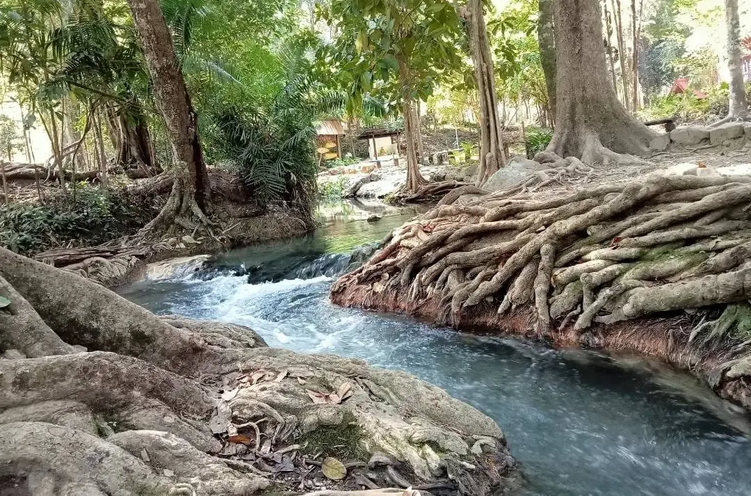 สวนรุกขชาติน้ำผุดทัพลาว