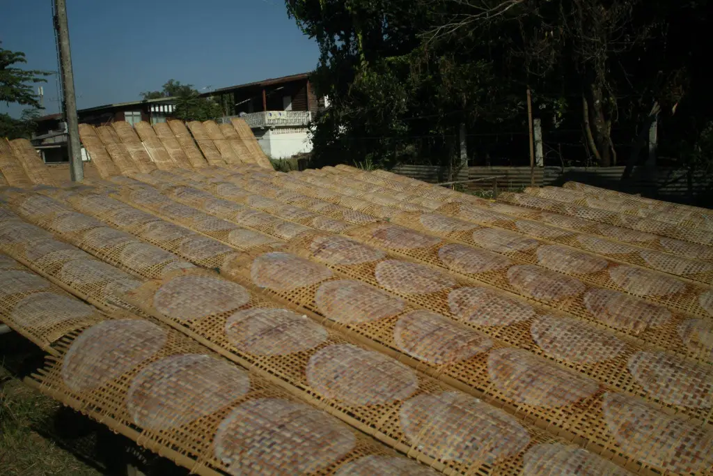 Vietnamese Rice Paper Village