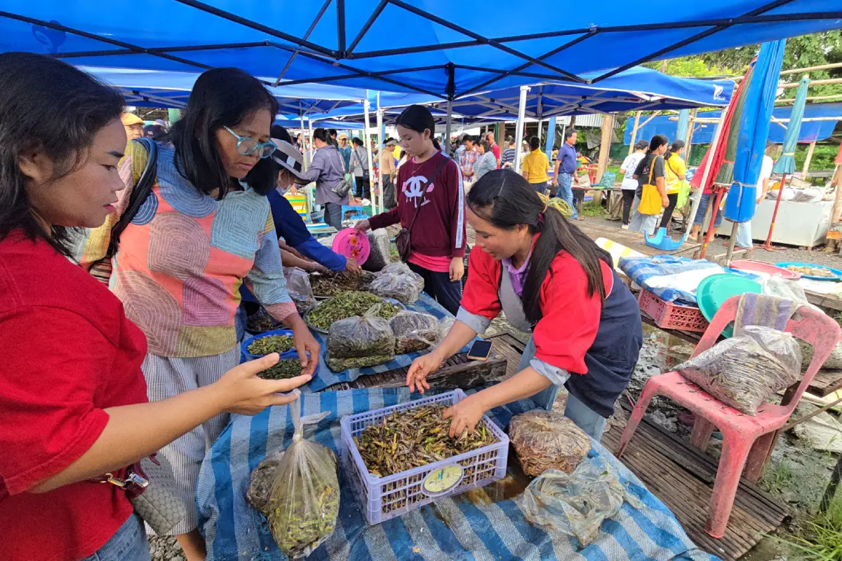 Thai–Lao Border Checkpoint And Ban Peng Chan Border Market